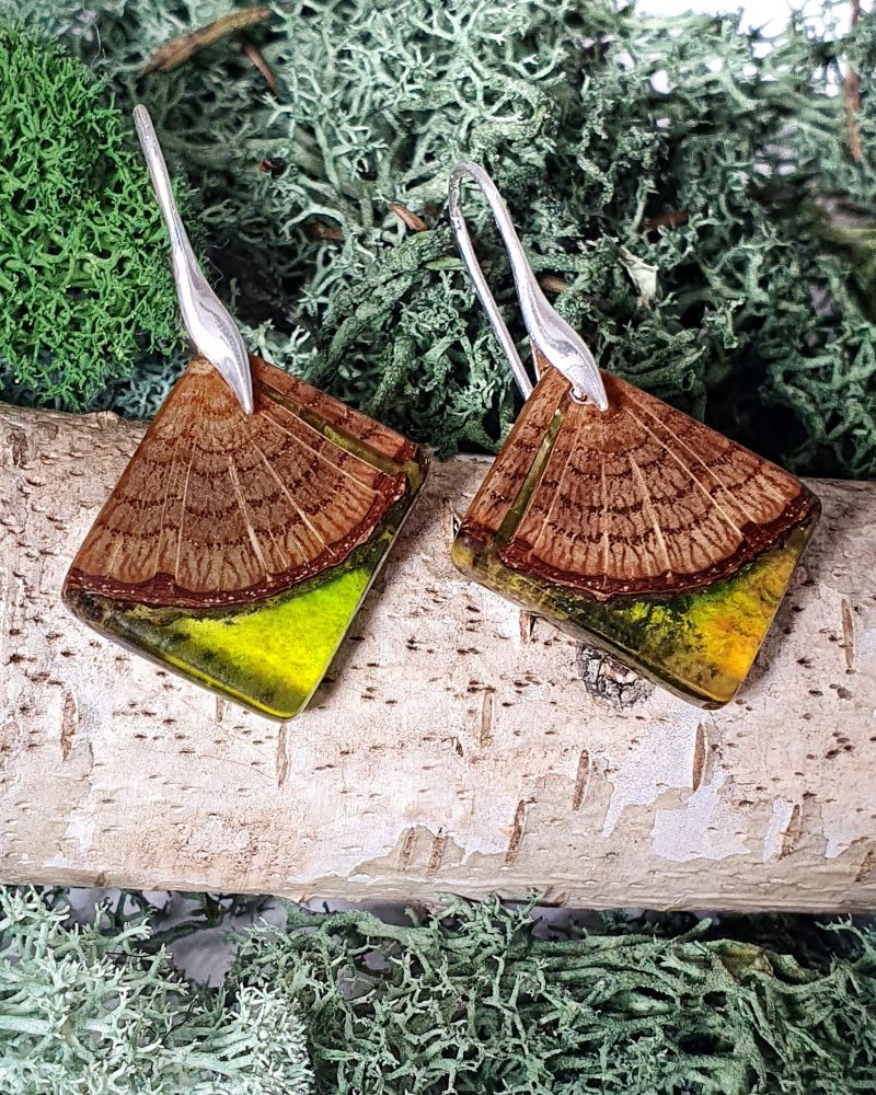 kolczyki z drewna dębu